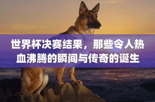 新澳門天天精準(zhǔn)免費(fèi)大全謎語漢與2025年正版資料免費(fèi)最新版本是什么典型釋義、解釋與落實(shí)-留心偽假宣傳危害