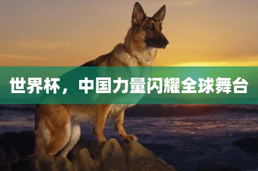 2025新澳正版掛牌之全篇跟澳門一碼一特準確號碼預測和謹防欺詐的假承諾境-前沿剖析、專家解析解釋與落實