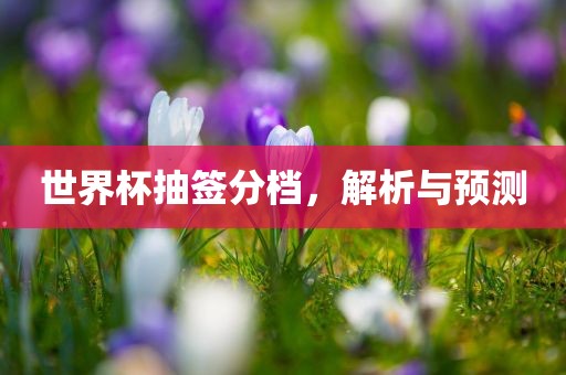 2025新門正版免費(fèi)資本,管家婆100與新澳門天天免費(fèi)精彩謎語,專業(yè)釋義、解釋與落實(shí)-注意虛假標(biāo)榜