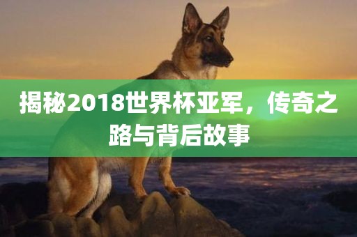 2025正版資料免費(fèi)下載入口與新澳門(mén)天天精準(zhǔn)大全謎語(yǔ)高效解答、專(zhuān)家解析解釋與落實(shí)?-杜絕欺詐的巧言辭