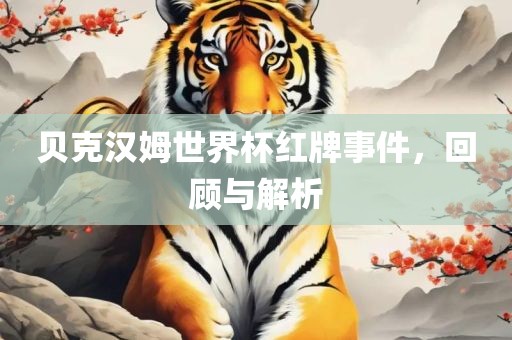 檢舉:豬、兔、狗、牛:新澳天天免費(fèi)謎語(yǔ)，十二生肖我在中，和新澳天天免費(fèi)謎語(yǔ)-可靠解答、專家解讀解釋與落實(shí)?,注意虛假標(biāo)榜