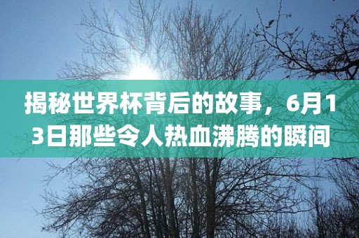 猴:澳門一碼一特一中每一期預(yù)測