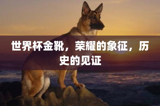 2025澳門今天晚上開單還是雙1及2025新澳門天天精準(zhǔn)謎語-務(wù)實釋義、專家解讀解釋與落實?,抵制虛假誘導(dǎo)危害